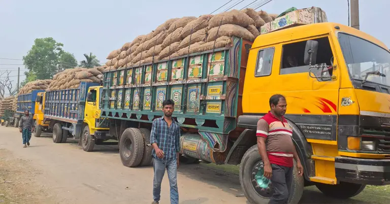 হিমাগার সংকটে আলুর সংরক্ষণ নিয়ে বিপাকে জামালপুরের চাষীরা